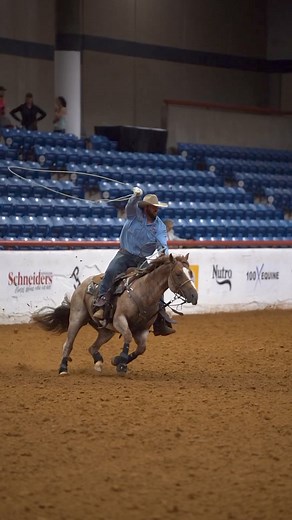 73K views · 2.3K reactions | Since our DK video seems to be so popular on tik tok and instagram, we figured it was time that it made it over to Facebook too朗 | American Rope Horse Futurity Association | Facebook