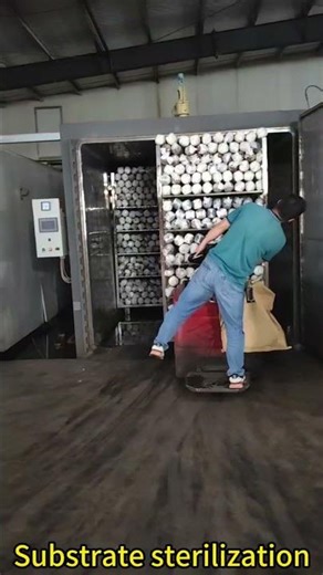 Shiitake mushroom bagging production line (mixing - bagging - sealing - sterilization - fruiting)