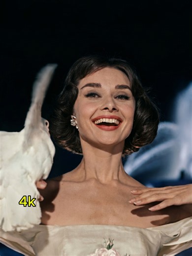 Audrey Hepburn Through the Years (1951–1992) ✨ From rising star to timeless icon. Audrey Hepburn's unforgettable journey through the decades, showcasing her elegance, talent, and lasting legacy in cinema. #AudreyHepburn #ClassicHollywood #OldHollywood #ThroughTheYears #CinemaHistory #FilmIcon #FYP #Viral