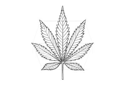 How to Draw a Pot Leaf