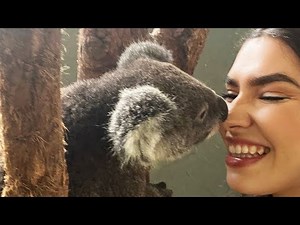 Life As A Young Female Zookeeper 🐨🐼🦁