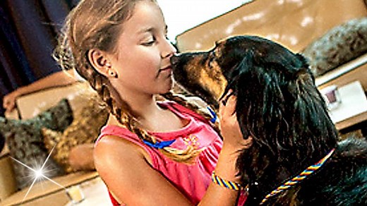 Un Amour de Chien FILM COMPLET en Français