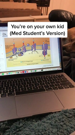 Understanding pH Changes in the Matrix - Medical Student Insights