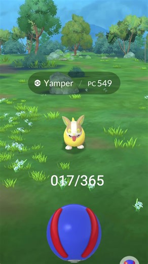 Daily Catch 017/365: Yamper! #pokemongo #pogo #yamper #365dayschallenge #gottacatchemall