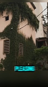 Bakit tinatanggal nila ang mga Boston Ivy🙀🙀👀👍 | Movies Recap