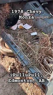 1979 Chevrolet Monza with a V8! Love this front end, one of my favourites. #monza #chevy