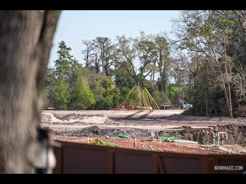 Disney's Tree Relocation: Preserving Nature in Villains Land Construction