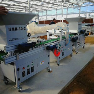 [Hot Item] Vegetable Nursery Automatic Hole Tray Seeder Seeding Machine
