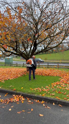 Our Derek out with the BR800 making light work of the leaves! Get yours now! | Cathcart Power Equipment
