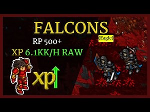 Tibia Hunt FALCONS (eagle) / RP 500+ XP 6.1kk/H RAW