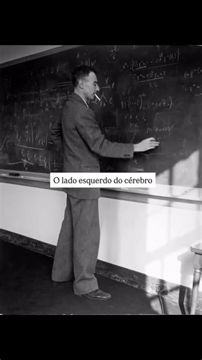 Vinicius Pereira on Instagram: "A chamada “lógica do cérebro esquerdo” costuma ser associada à razão, à análise e à estrutura. É nesse hemisfério que se concentram, de forma predominante, funções como linguagem, leitura, escrita, cálculo matemático e organização sequencial do pensamento. Ele opera por etapas, busca coerência interna, compara dados, mede riscos e procura padrões objetivos para tomar decisões. O cérebro esquerdo trabalha como um engenheiro da mente: separa o problema em partes men