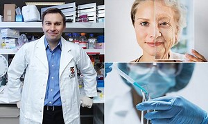 New pill could see humans live to 150 ‘for the price of a coffee’ – Lifeboat News: The Blog