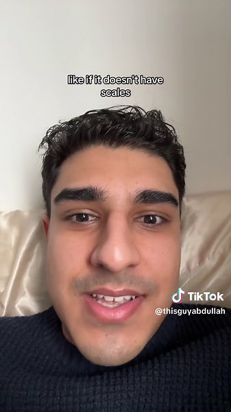 hot girls own reptiles now | Bearded Dragon