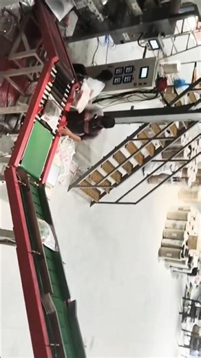 Automation in Seed Packing Plants 🌱 | Hyderabad Seed Industry #Shorts