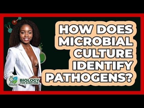How Does Microbial Culture Identify Pathogens? - Biology For Everyone