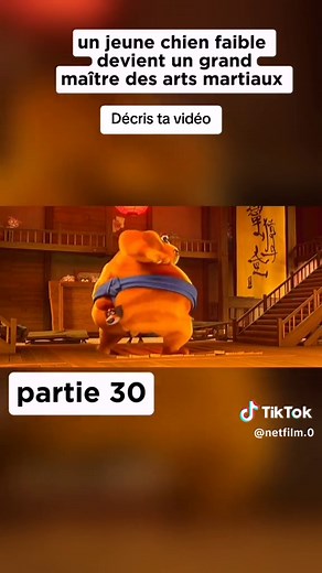 Film Résumé on TikTok