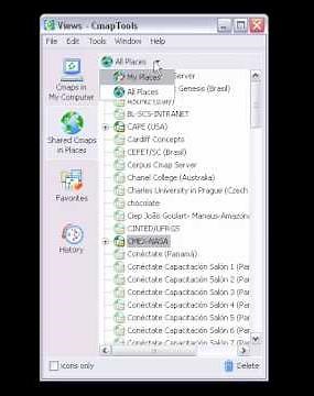 CmapTools: La Ventana de Vistas