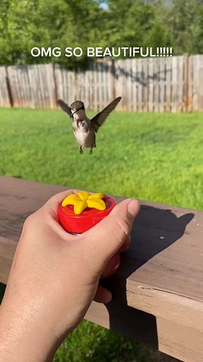 Hand Held Hummingbird Feeder | DIY Tutorial
