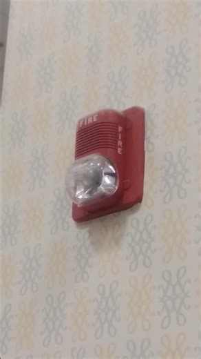 System Sensor Spectralert Classic Horn Strobe