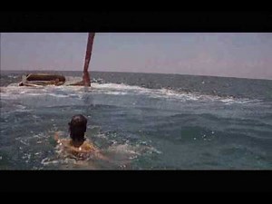Jaws 2 - Brody and Eddie