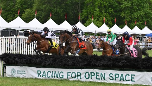 Can’t-Miss May Events Happening in Chester County