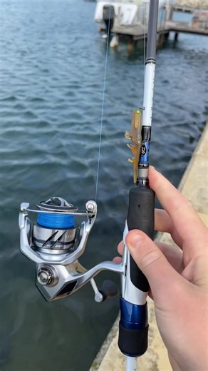 Catch Breambos: Techniques for Fishing Success