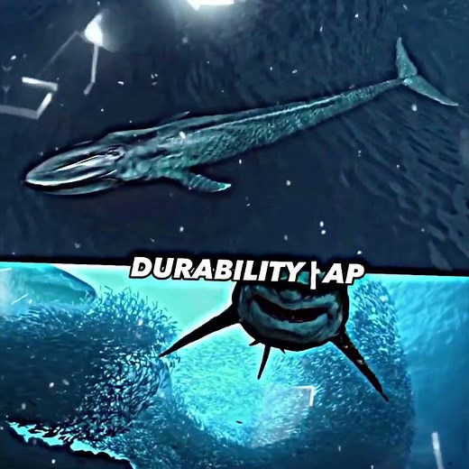 Blue Whale Vs Megalodon