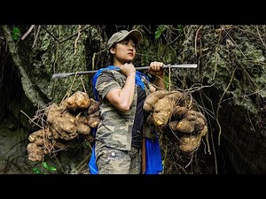 5 Days Solo Bushcraft - Looking for Food in the Cold Rain, Cooking hot Soup from Mo Tubers - Part 3