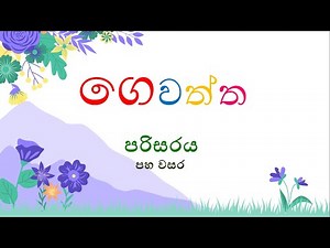Parisaraya - Gewaththa | පරිසරය - ගෙවත්ත | Magic Box Learning