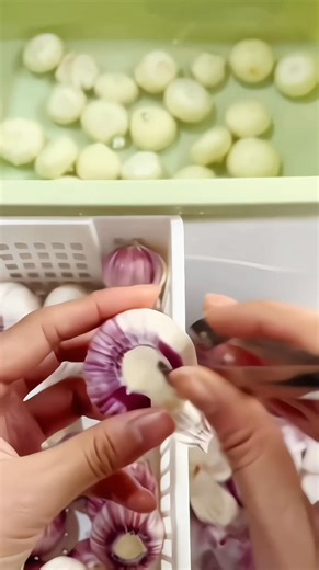 Tutorial kupas bawang putih garlic 🧄 #reelschallengereelschallenge #sorotansemuaorg #viralvideoreels #asmrvideo #fyp #garlic #asmr #bawang @sorotan | Sand Alfakiha