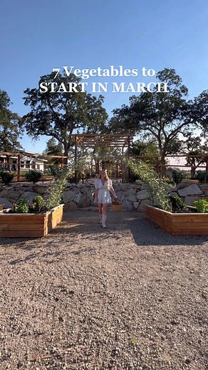 7 Vegetables to Start in March: Tips for a Successful Vegetable Garden