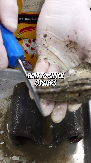 Expert Oyster Shucking Guide: Step-by-Step Tips