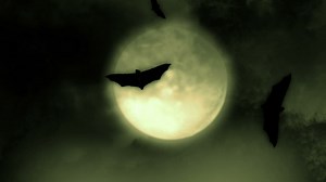 Silhouettes of bats flying under the full moon - Free Stock Video