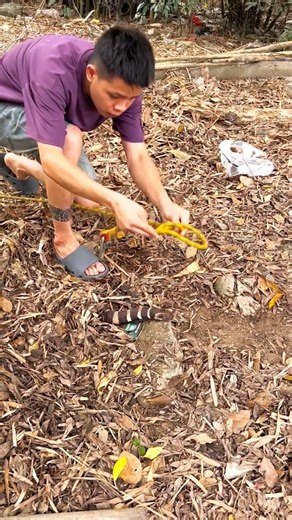 Amazing python Trap 😱 #trap #python