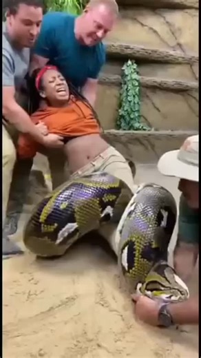 Instagram video by আসিক • Dec 31, 2025 at 8:51 AM