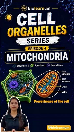 |Cell organelles series | Mitochondria |Powerhouse of the cell| Cell | #biology