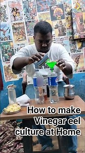 easy steps to make vinegar eel culture #vlogger #shorts