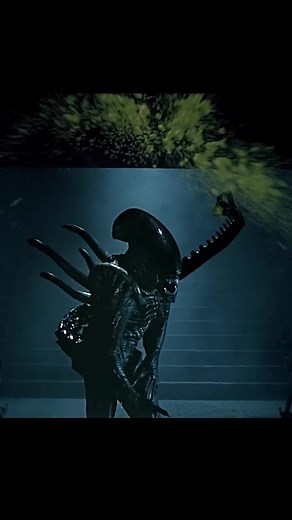 Alien vs Predator(2004) | #movie #movieclips #fyp #foryou #viral
