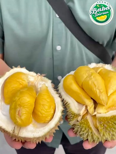 🌟Durian lovers, good news! Baba Fruits Hub has officially entered durian season. Fresh Musang King and more varieties are arriving daily, so come grab yours before they sell out. 📍BABA FRUITS HUB(HQ) & SUNMOON(MY) 56,58,60, Jalan Usj 8/2A, USJ 8, 47610 Subang Jaya Selangor, Malaysia. ⏰Monday-Sunday 9am -10pm 🔎Google Map: https://maps.app.goo.gl/k6iJ5pbMcDWUytzv6?g_st=ipc | BABA Fruits