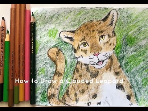 How to Draw a Clouded Leopard, Art Project for Kids, Little Woods Art
