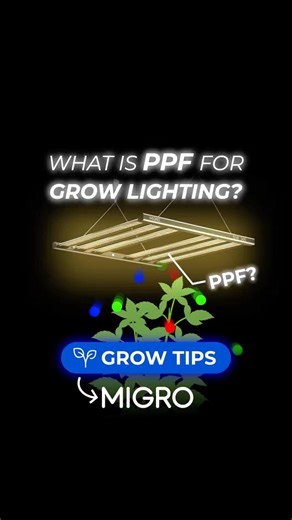 What is PPF? Grow Lighting 101!
