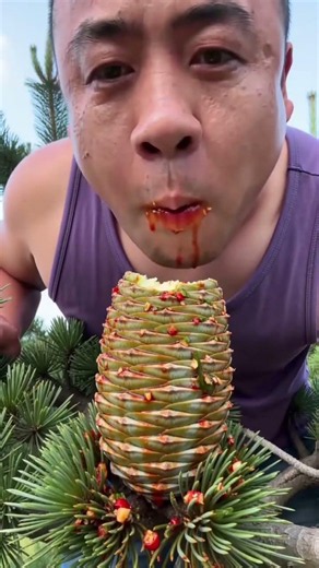 I Ate a Juicy Pine Cone Straight From the Tree 🌲