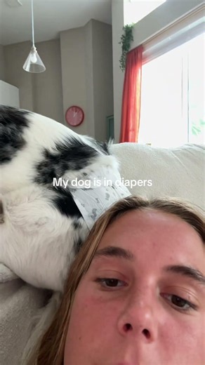 HOW DID WE GET HERE😂 #dogmom #dayinmylife #puppy #shorts
