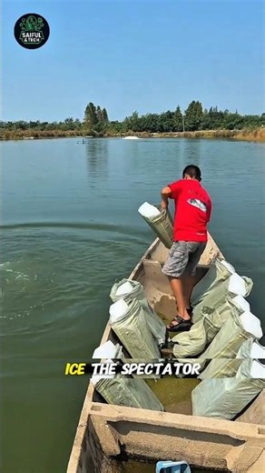 Watch How Ice Saves Hundreds of Fish in Just Minutes! #viral #trending