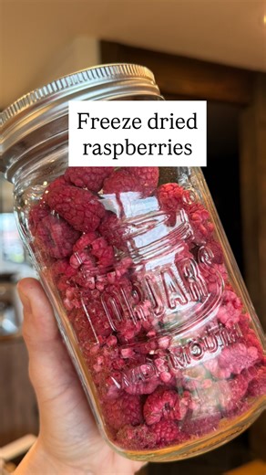 Crunchy, sweet, and kid approved 🙌 Freeze dried raspberries are one of our favorite snacks because they’re light, airy, and still packed with goodness. Freeze drying helps retain up to 97% of the fruit’s nutrients, including fiber, vitamin C, and antioxidants, without added sugars or preservatives. It’s also one of the best ways to preserve your harvest so you can enjoy summer berries long after the growing season is over ❤️ If you’ve been thinking about freeze drying for your home, I use and l