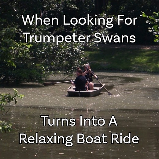 While it might look like a relaxing way to spend a Saturday, Small Mammal keepers Zoe and Abigail are actually checking in with the trumpeter swan family that call the lagoon home 🦢 | Blank Park Zoo