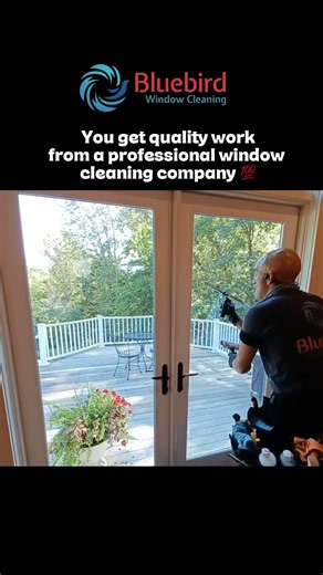 Professional Window Cleaning Company in Charlottesville | Bluebird Window Cleaning