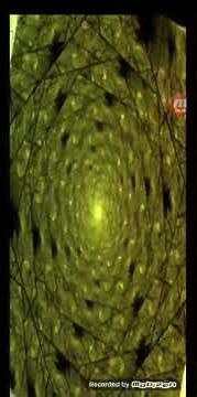 Winamp Visualization - Now Playing: Winner Laugh