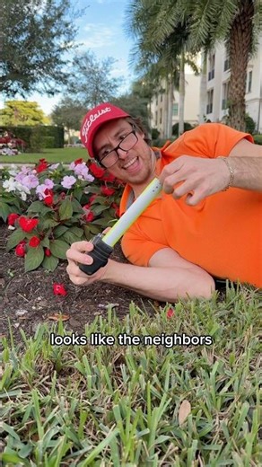 Day in the life of a retired person #shorts