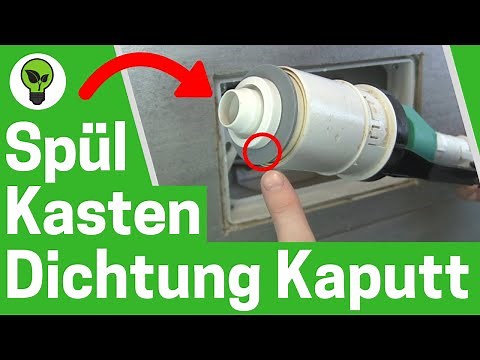 Replacing the toilet cistern seal ✅ TOP GUIDE: How to repair & replace the Geberit siphon bell???
